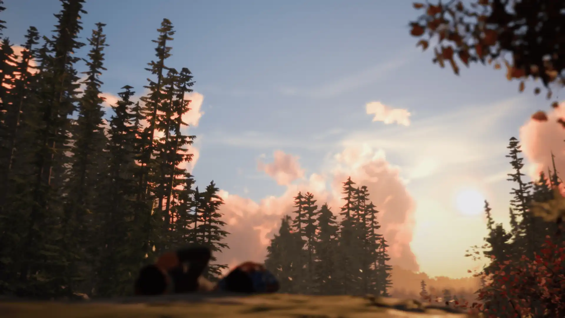 Life is Strange 2