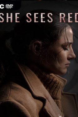 دانلود بازی She Sees Red برای PC – نسخه DARKSIDERS