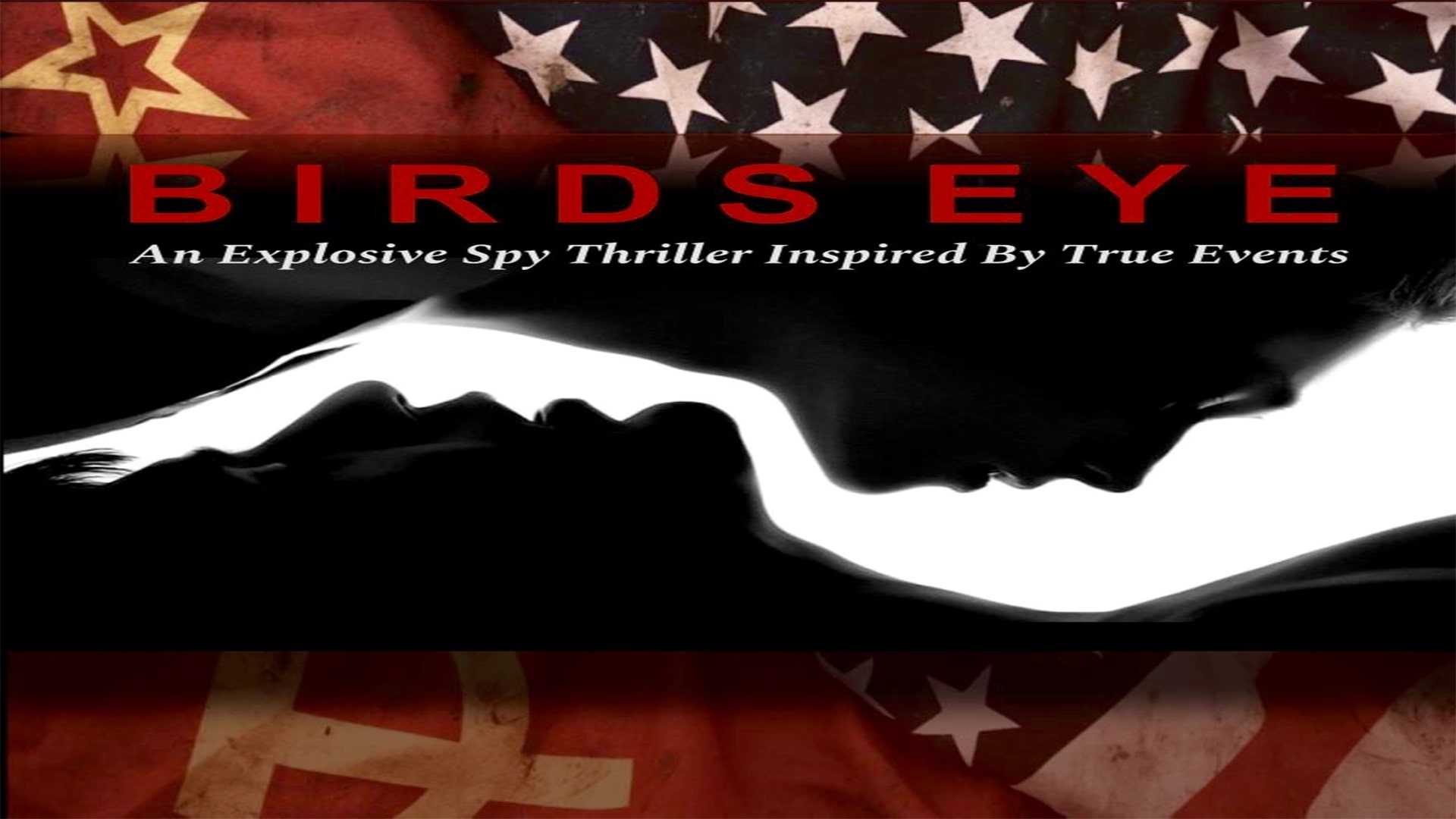 دانلود فیلم چشم پرنده دوبله فارسی BirdsEye 2024