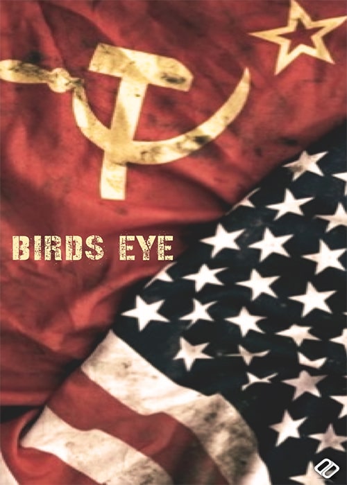 دانلود فیلم چشم پرنده دوبله فارسی BirdsEye 2024