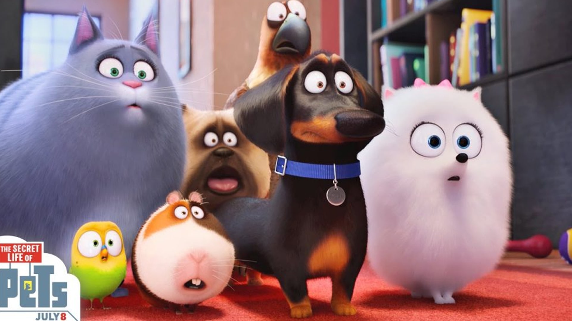 80. انیمیشن The Secret Life of Pets (2016)