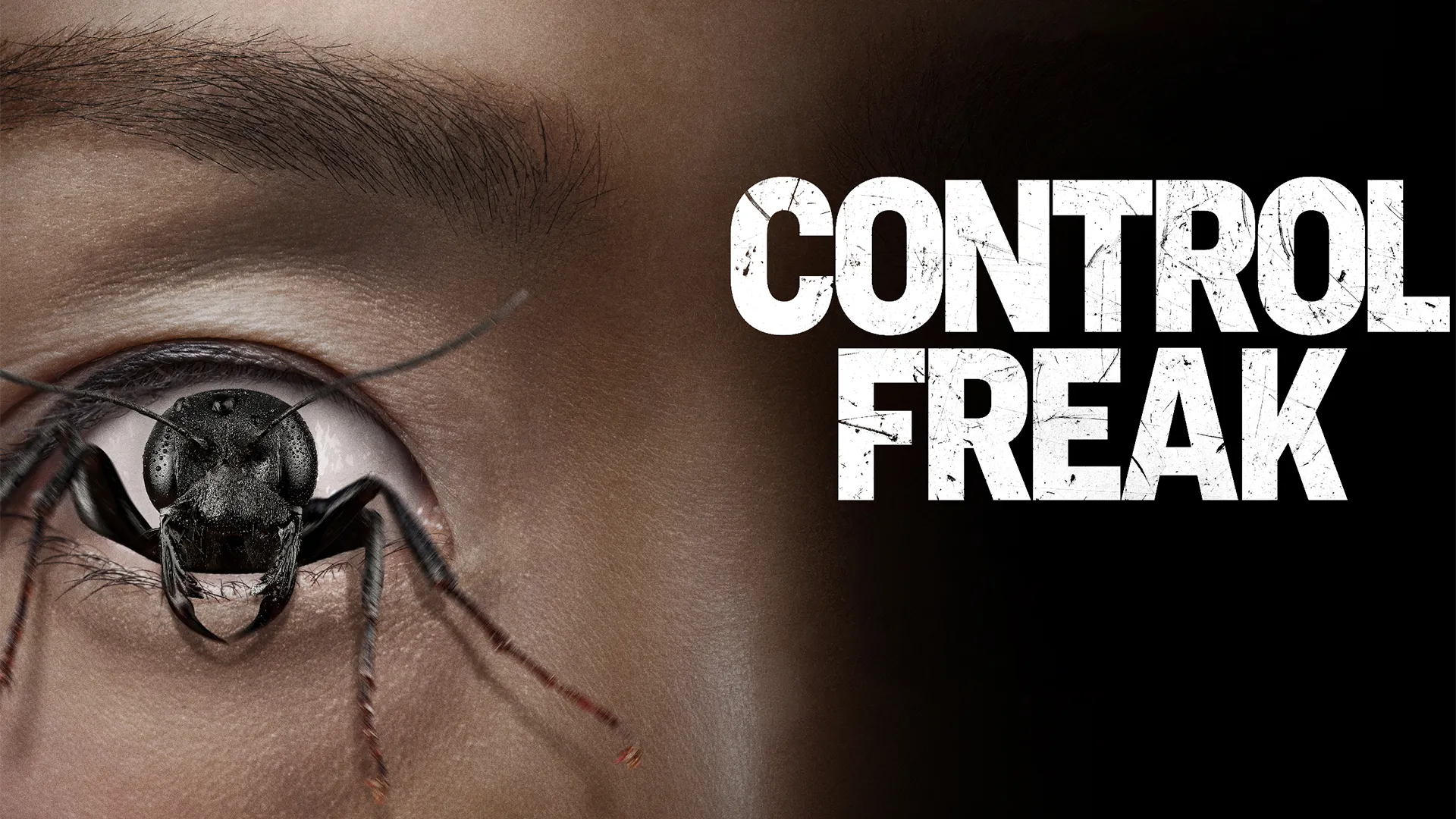 دانلود فیلم کنترل فریک دوبله فارسی Control Freak 2025