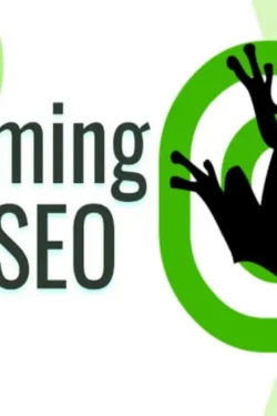 دانلود نرم افزار Screaming Frog SEO Spider 20.2 برنامه تجزیه و تحلیل سئوی صفحات وب
