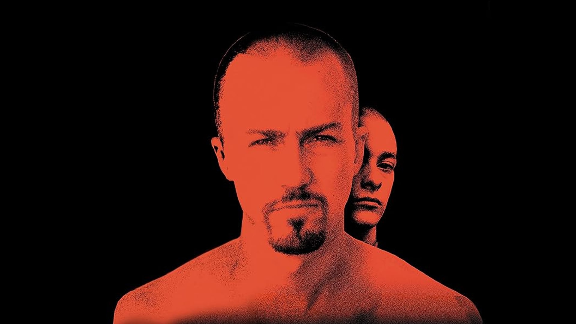 ۳۹. تاریخ مجهول آمریکا (American History X)