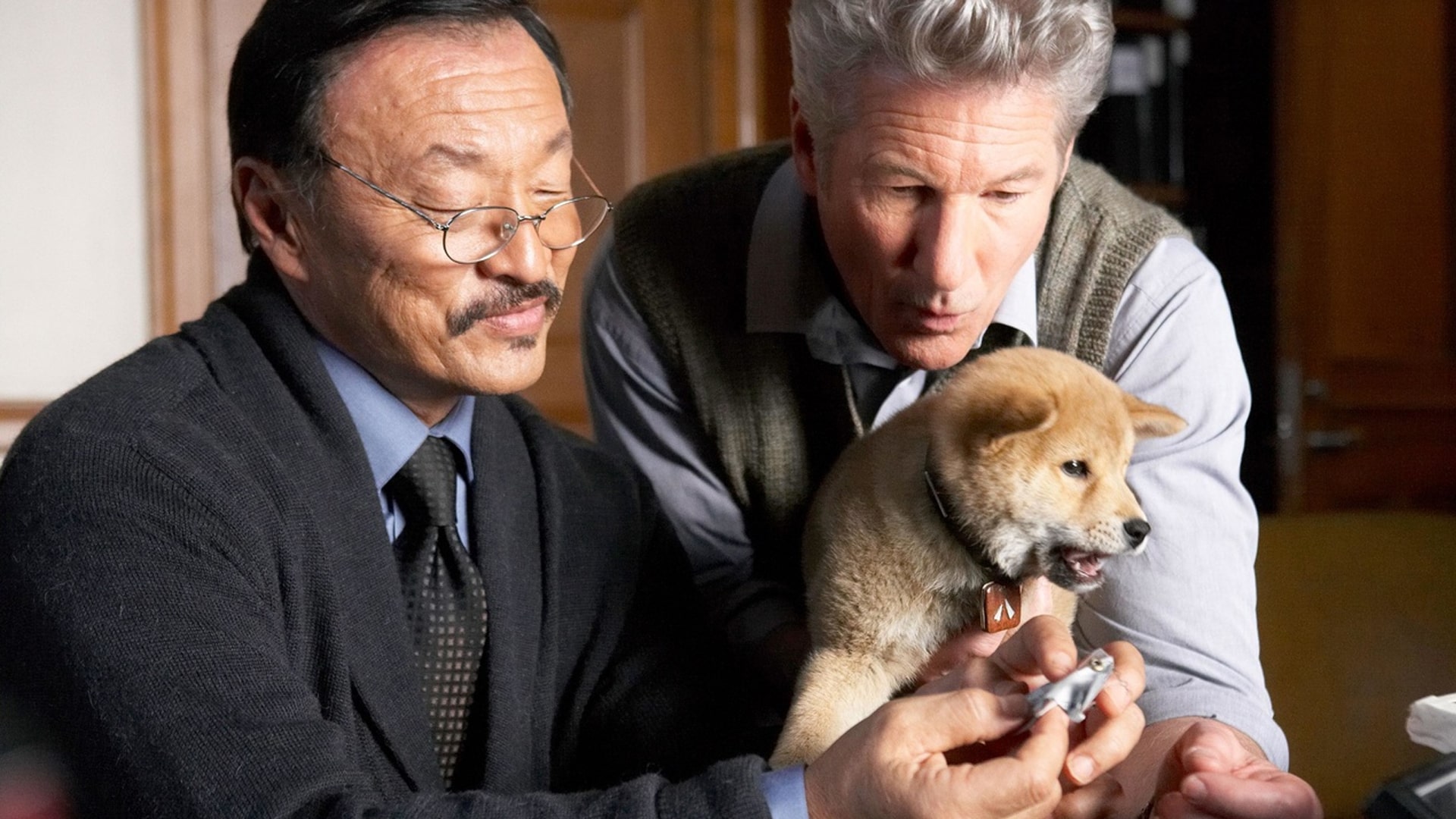 ۲۰۹. هاچی: داستان یک سگ (Hachi: A Dog's Tale)