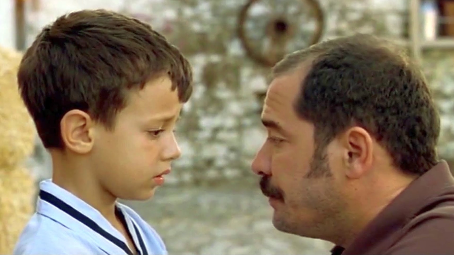 ۲۱۴. پدرم و پسرم (My Father and My Son)
