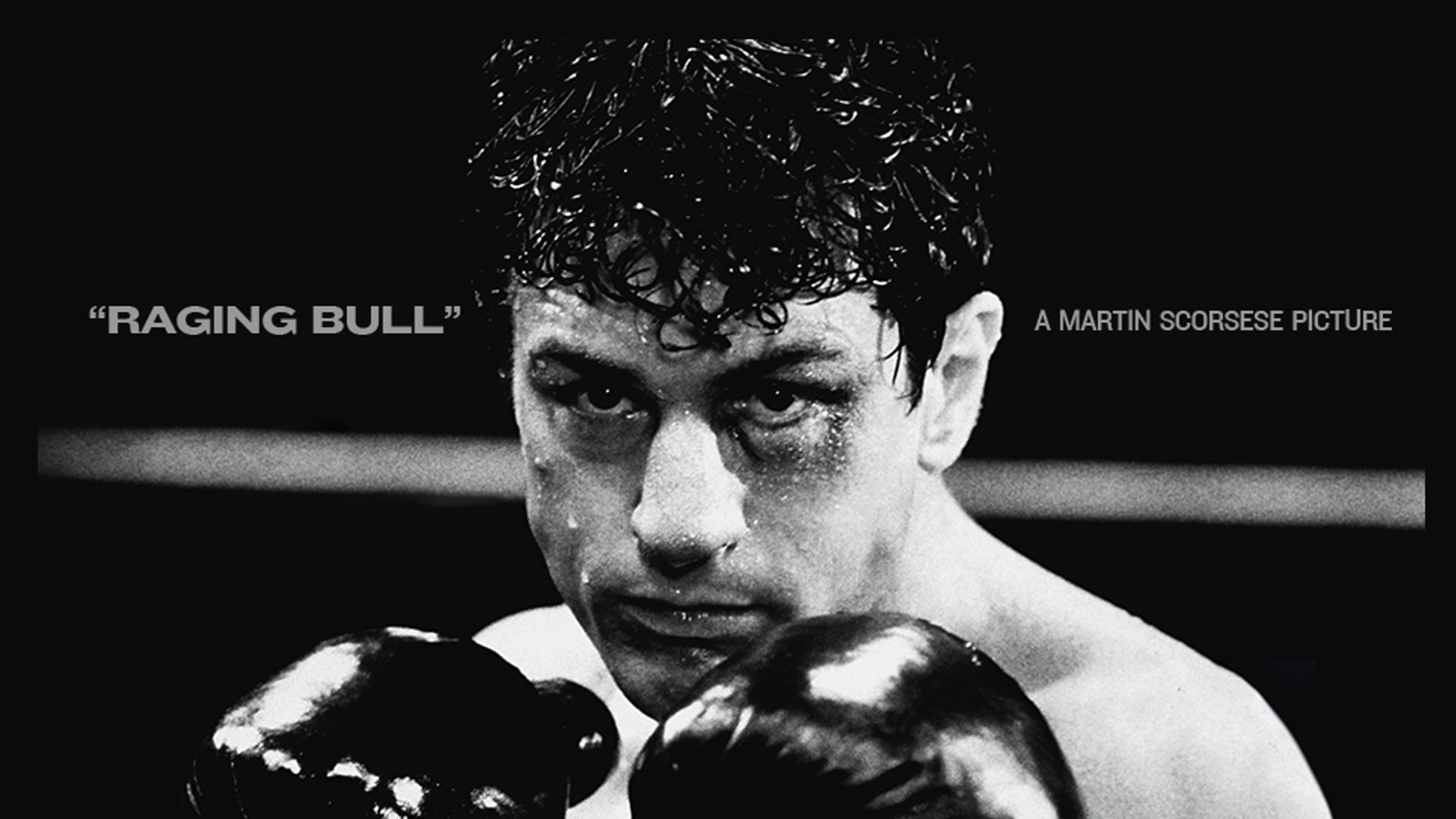 ۱۶۰. گاو خشمگین (Raging Bull)