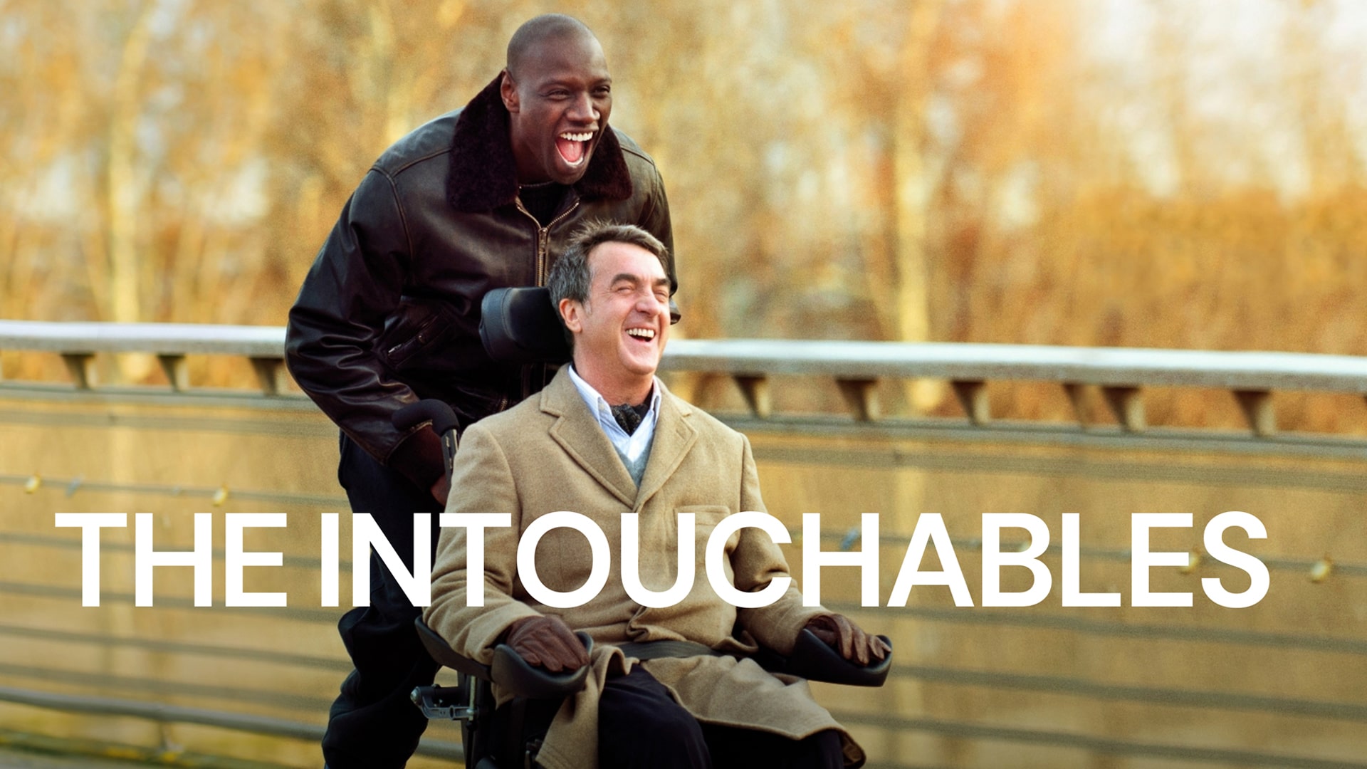 ۴۳. دستنیافتنیها (The Intouchables)