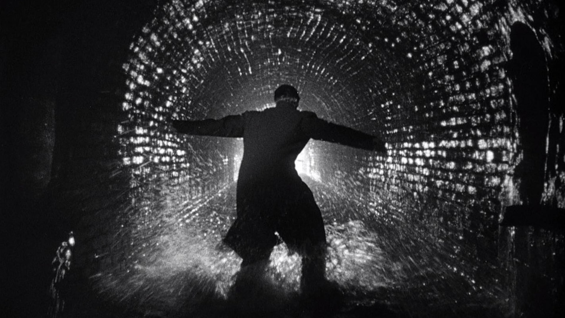 ۱۹۴. مرد سوم (The Third Man)
