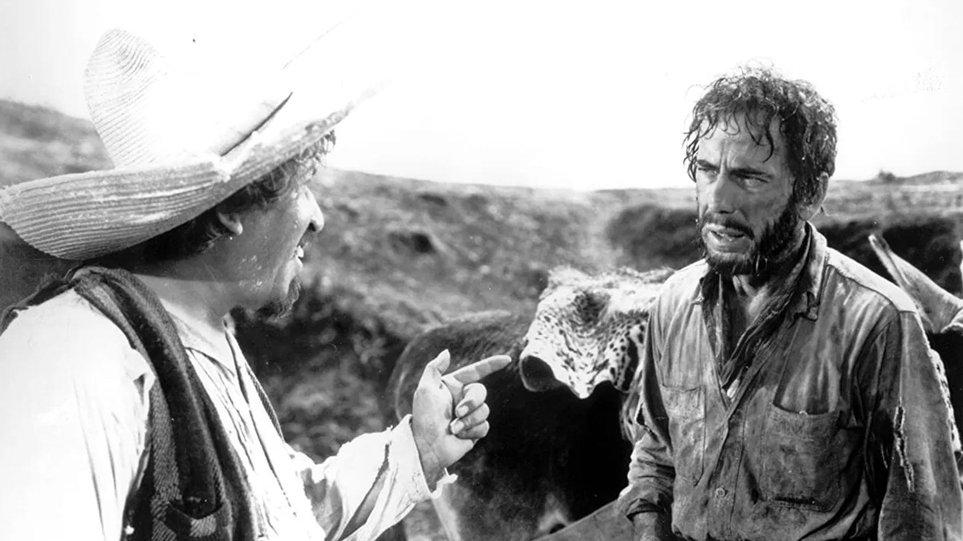 ۱۴۲. گنجهای سیرا مادره (The Treasure of the Sierra Madre)