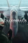 دانلود بازی Ace Combat 8 Wings of Theve برای PC
